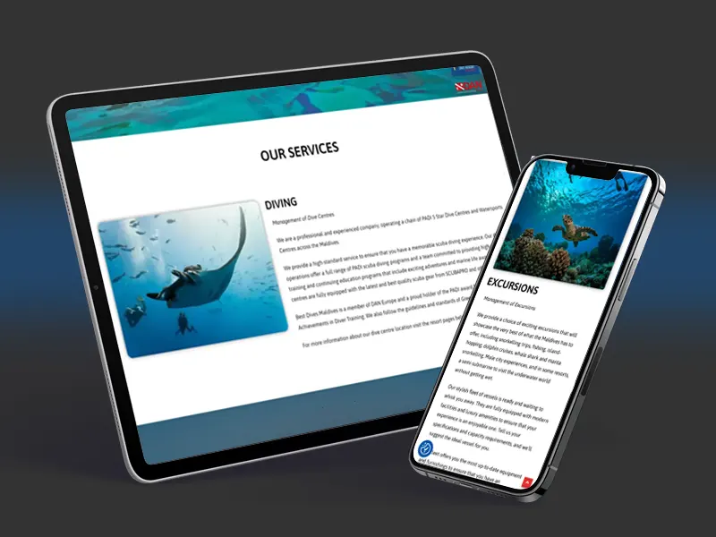 Website screen shot
